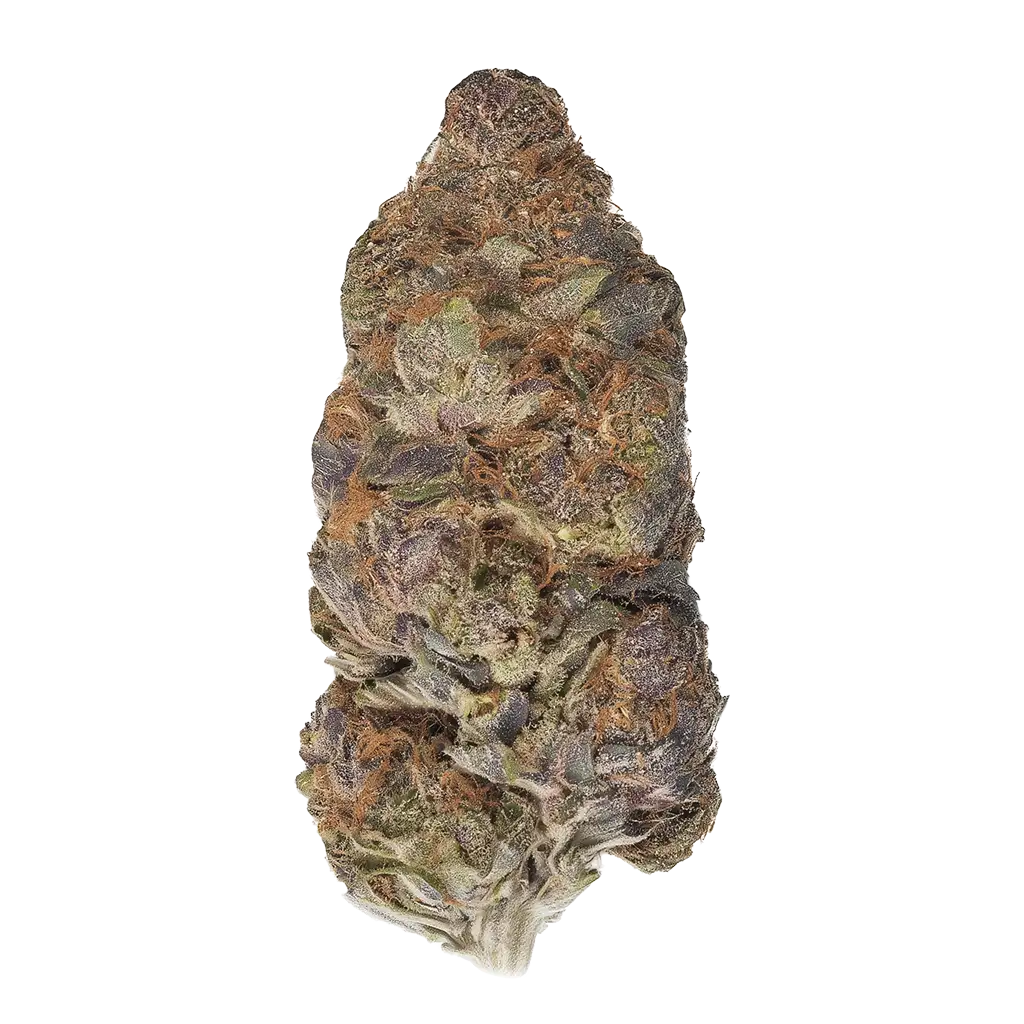 3X Crazy Cannabis Strain | Reviews & Grow Reports - GrowD