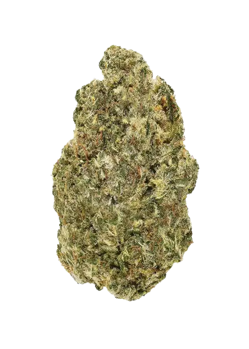 Guava Starburst