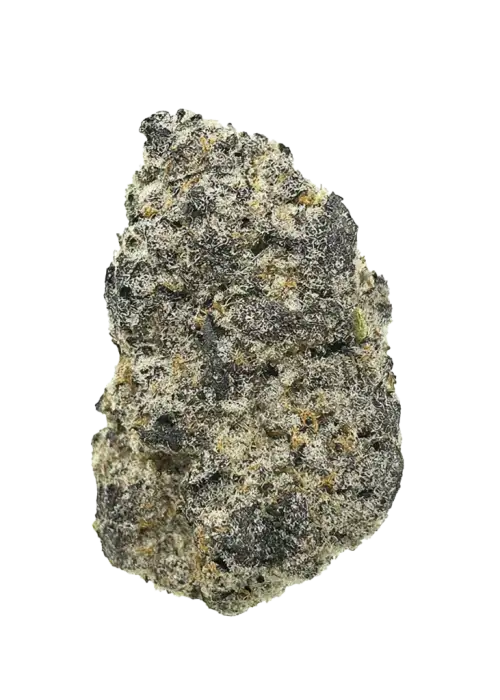 Fruit Ztripez