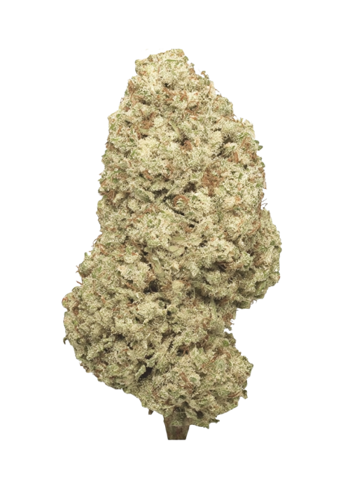 White Guava Gelato