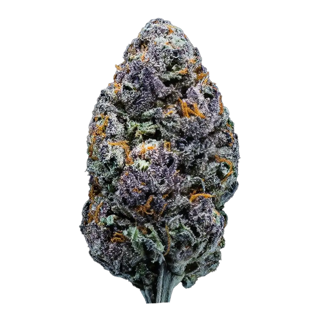 Lucky 13 Cannabis Strain by Exotic Genetix Information -