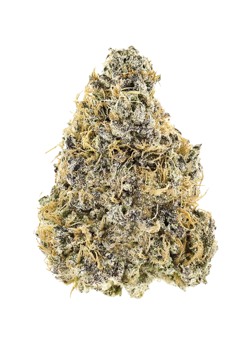 Platinum IX