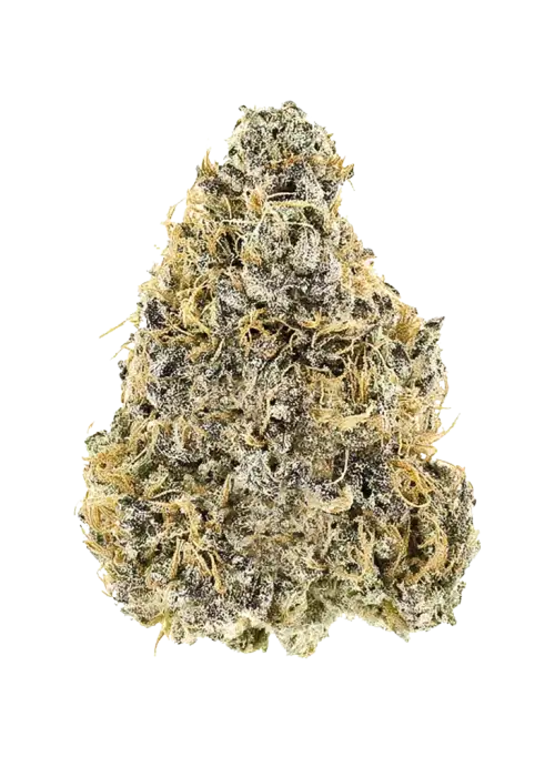 Platinum IX