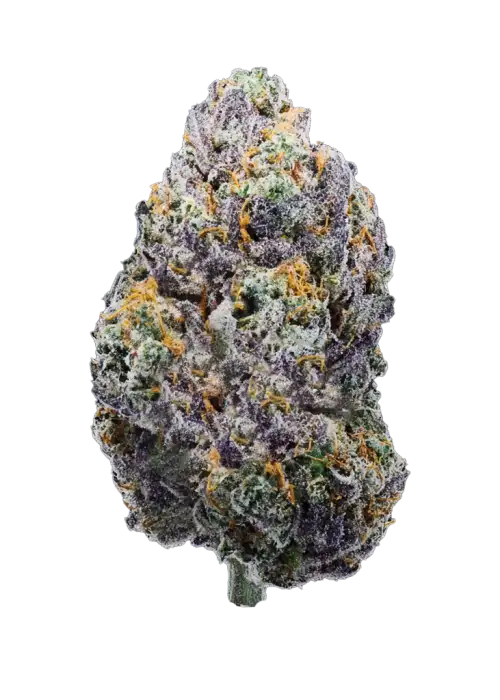 Guwop Green