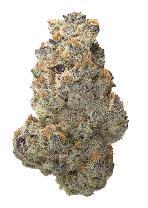 Grape Mochi