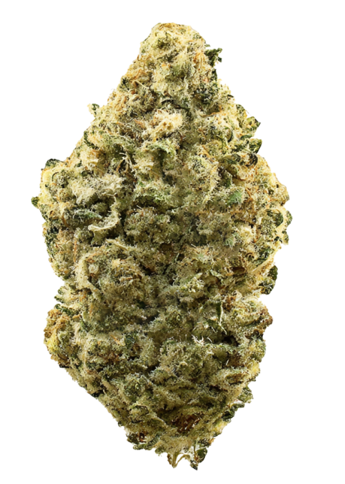 Perm OG