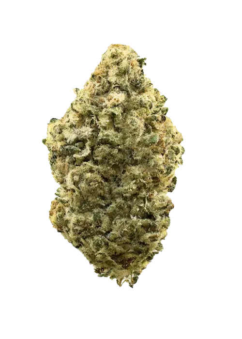 Perm OG
