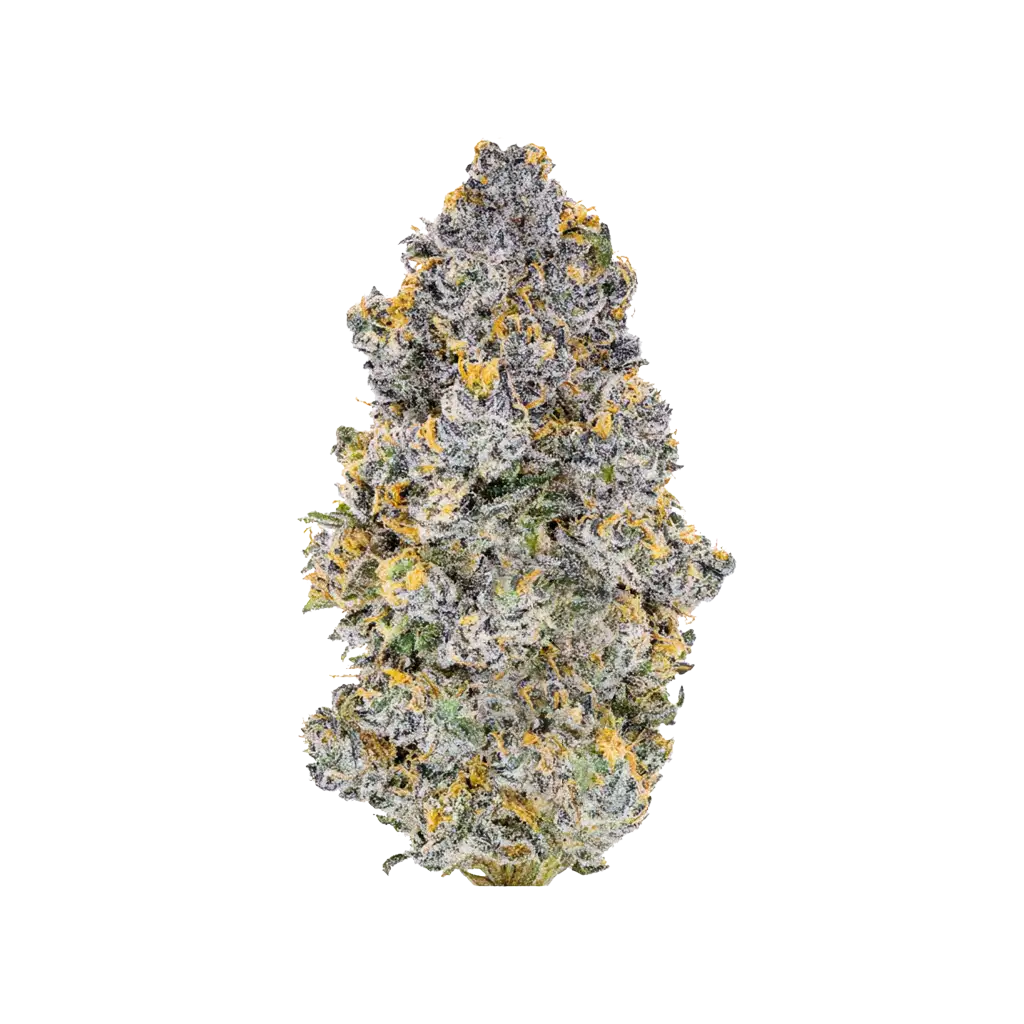 【世界100台】WEED Blues D 2 MA104B BD-2 世界100台】WEED Blues D 2 MA104B BD-2 Blue Dream - 00 Seeds