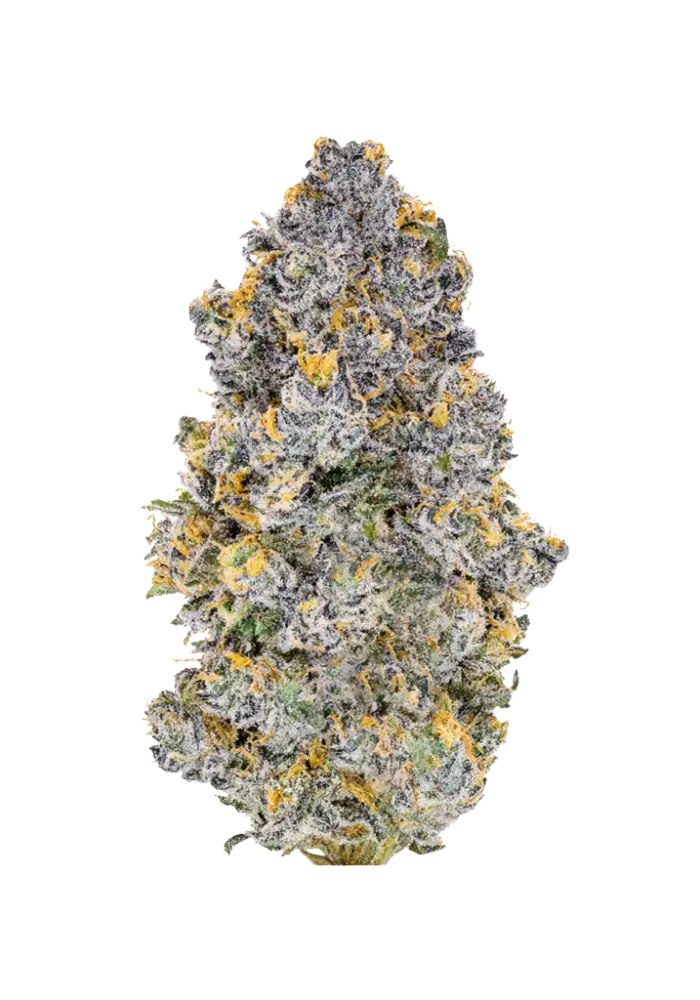 Blu Zerdz Cannabis Strain Products - GrowDiaries