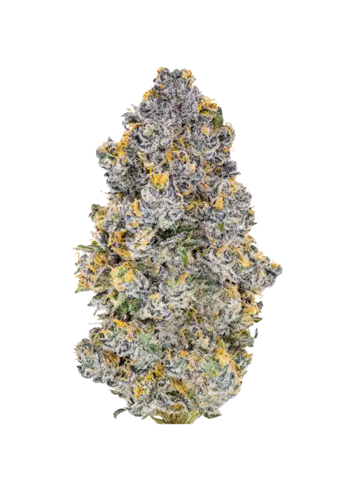 Blu Zerdz