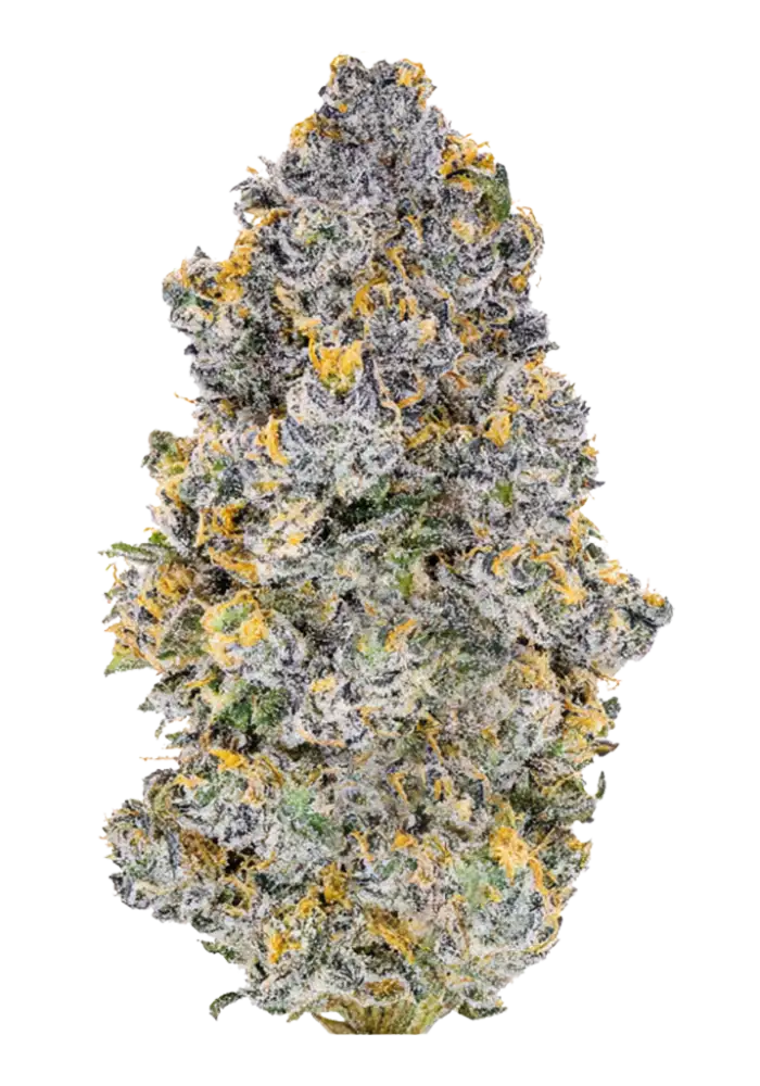 655-blu-zerdz_1000.webp