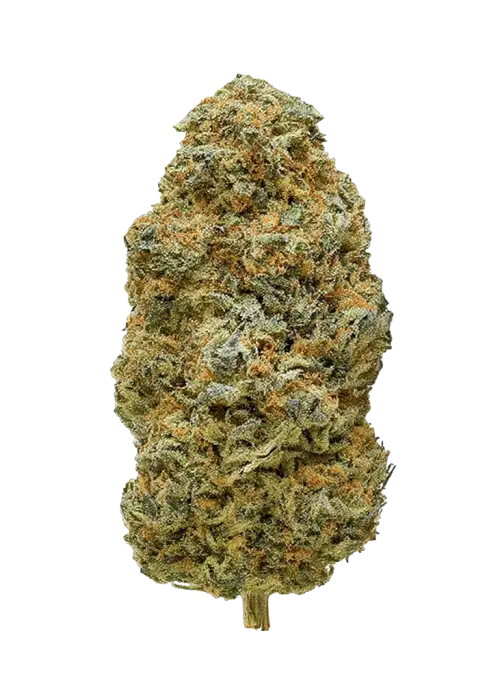 The Cure OG