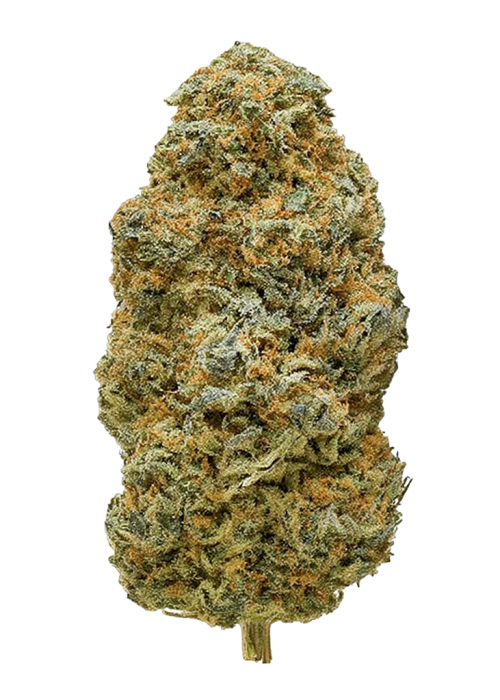 The Cure OG