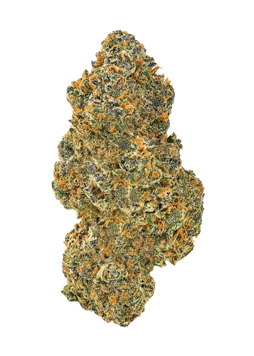 Cherry Apple Z