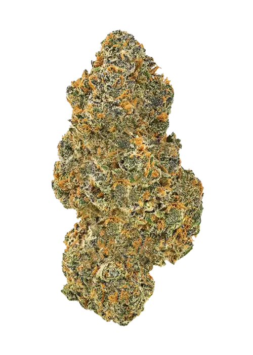 Cherry Apple Z