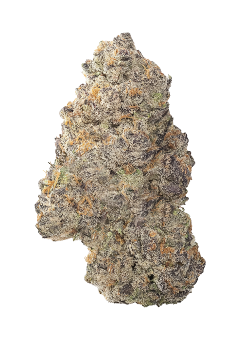 Pi’nana Z