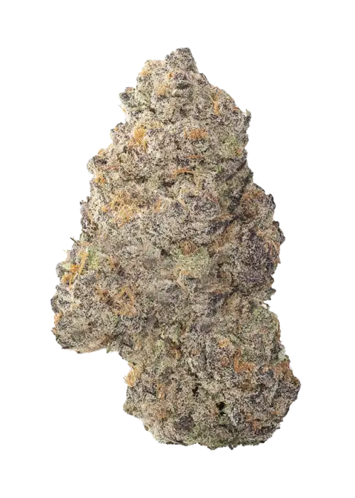 Pi’nana Z