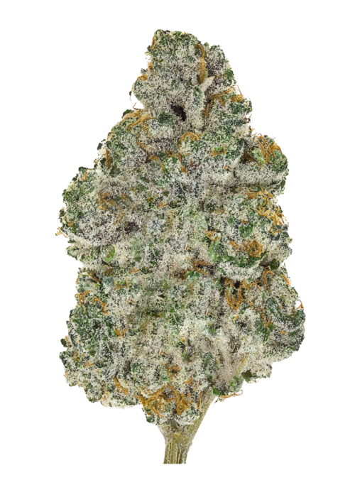 Grape Pi’nana