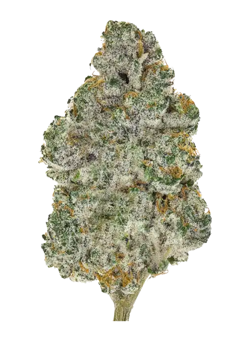 Grape Pi’nana