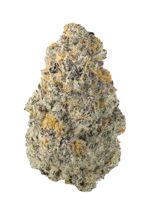 Moroccan Pi’nana Z