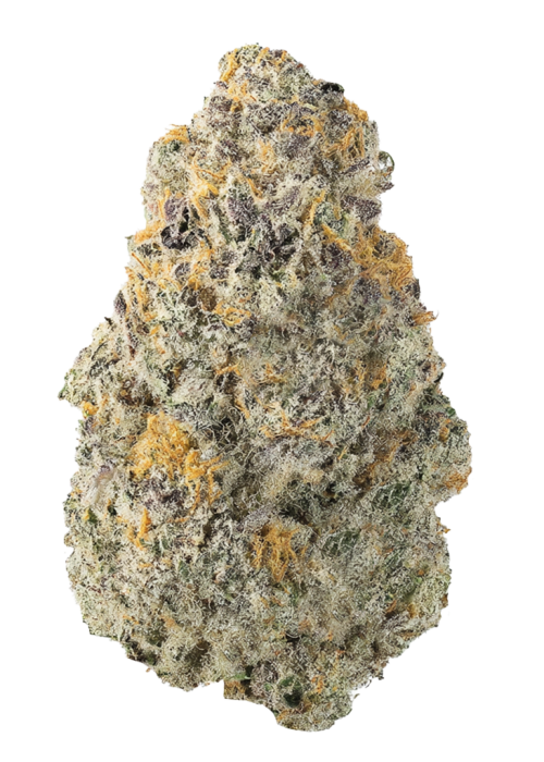 Moroccan Pi’nana Z