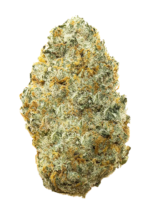 Pi’nana Jack