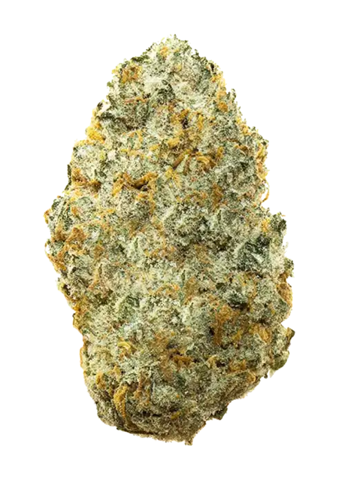 Pi’nana Jack