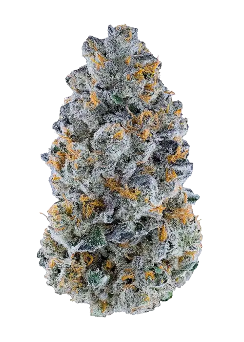 White Sherb