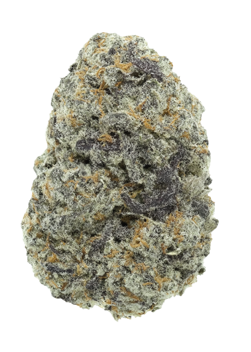 Blueberry Bubble Gum