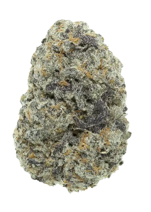 Blueberry Bubble Gum
