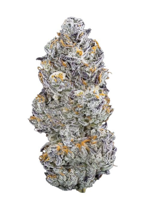 Cherry Zelato