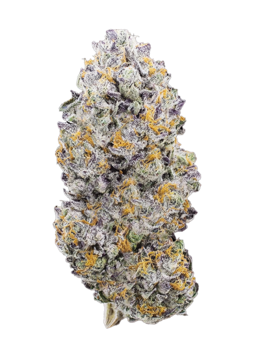 Pink Passion Fruit