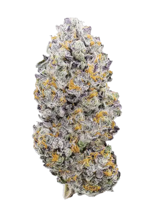 Pink Passion Fruit