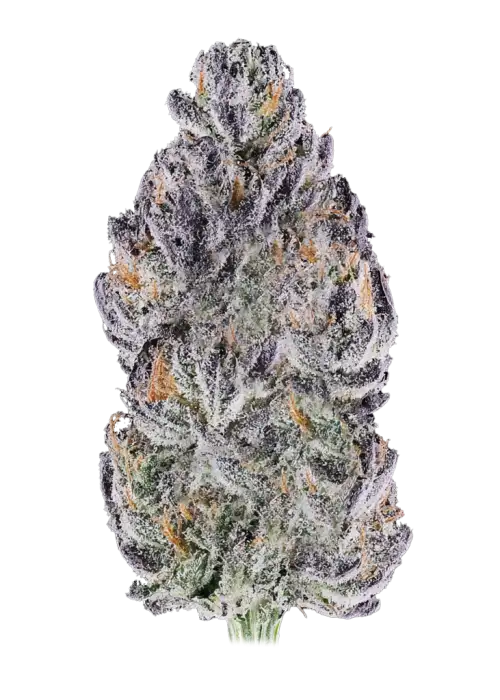 Peach Tea