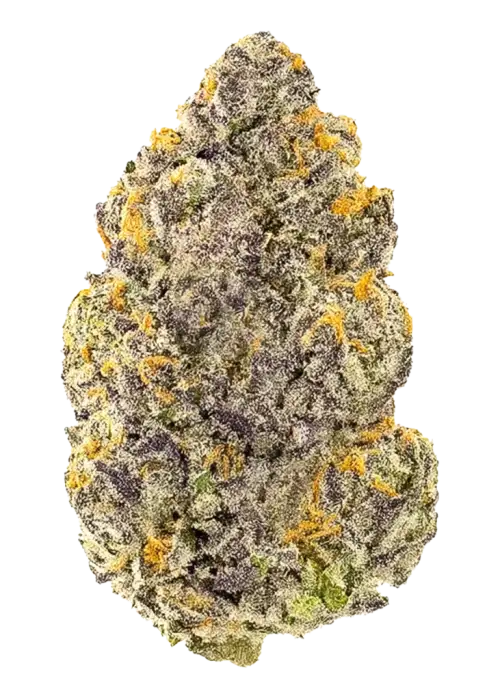 Grape Bombolla