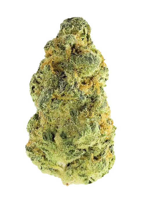 Honey Banana Sundae