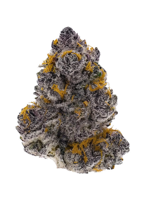 Tangilope Kush