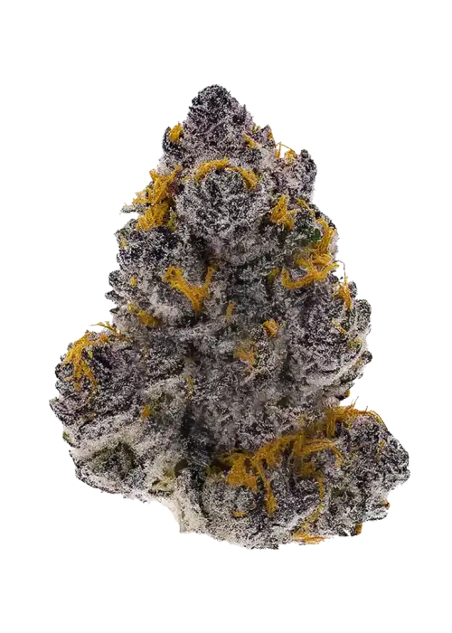 Tangilope Kush