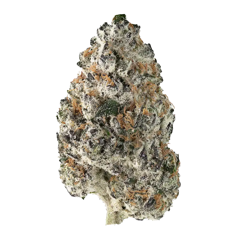 グレープページ Grape-Z Cannabis Strain Information - GrowDiaries