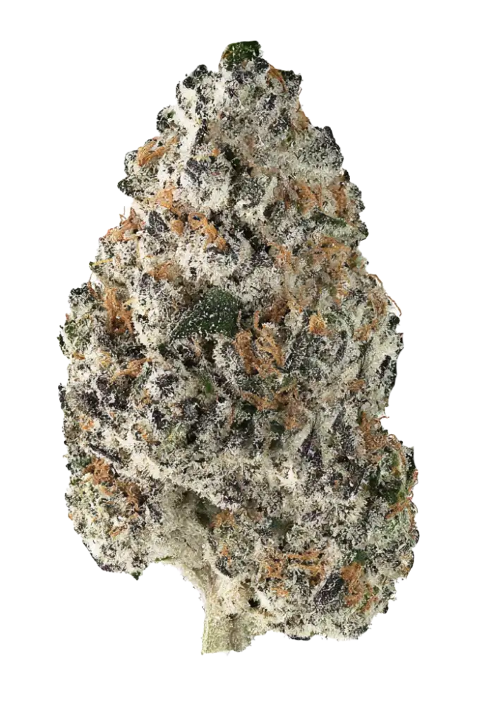 8680-grape-z_1000.webp