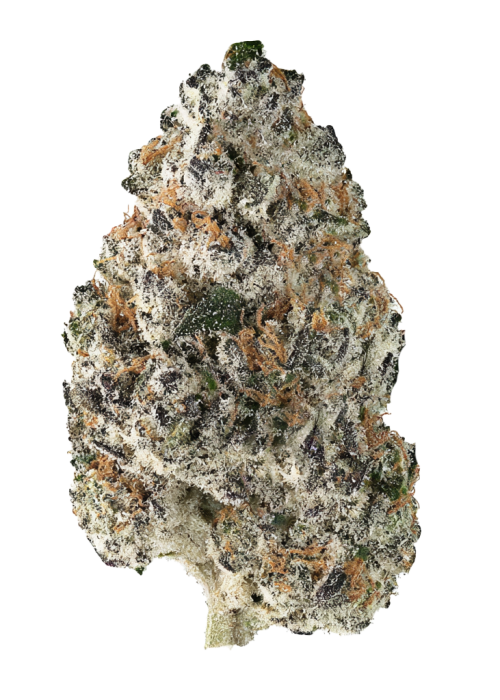 Grape-Z