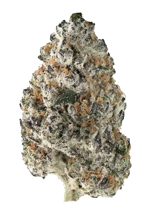 Grape-Z