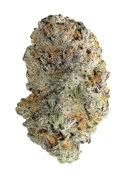 Hindu Z2.0