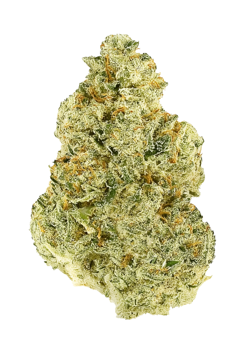 Yellow Zushi Sundae
