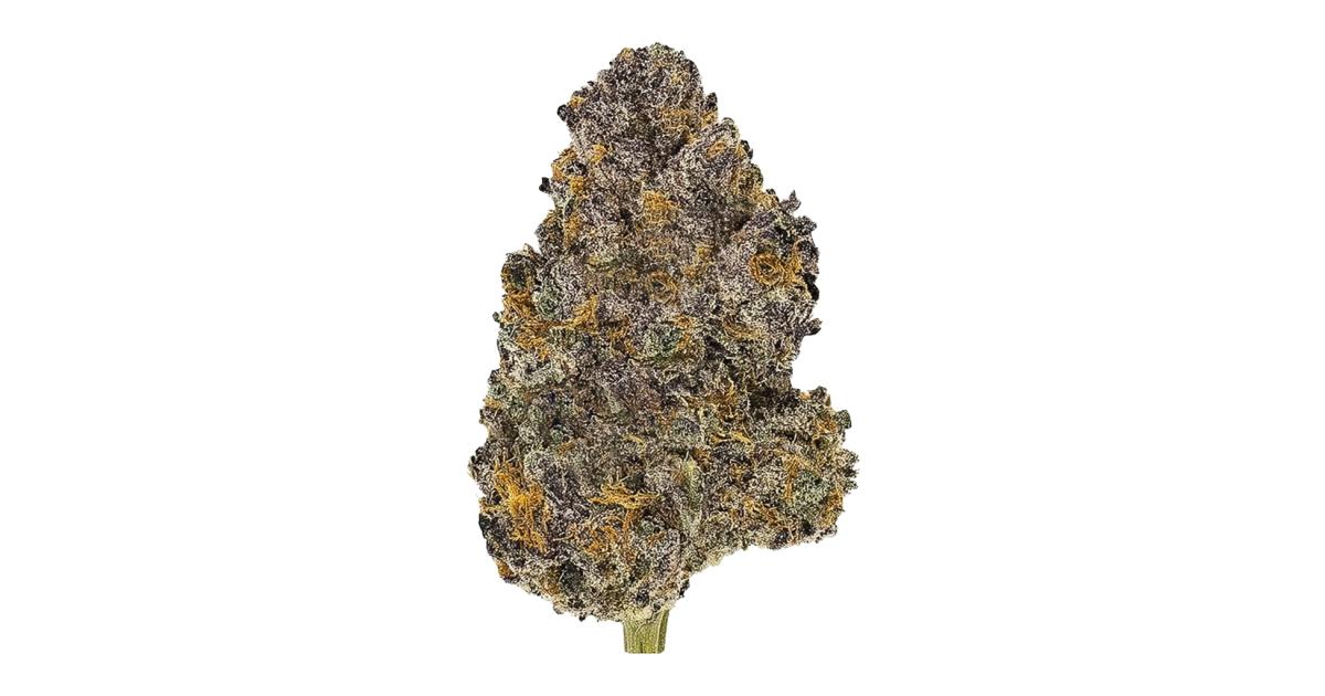 Zticky Zunzet Cannabis Strain Information - GrowDiaries