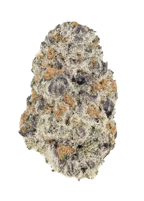 Zuava Sundae