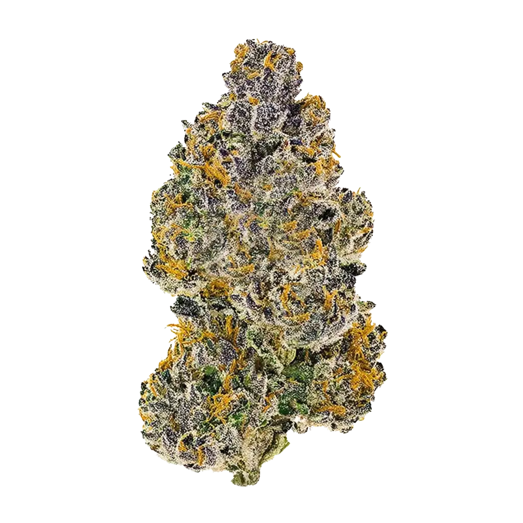 Krypto Chronic Cannabis Strain Information - GrowDiaries