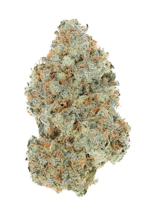 517 Headband
