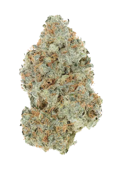517 Headband