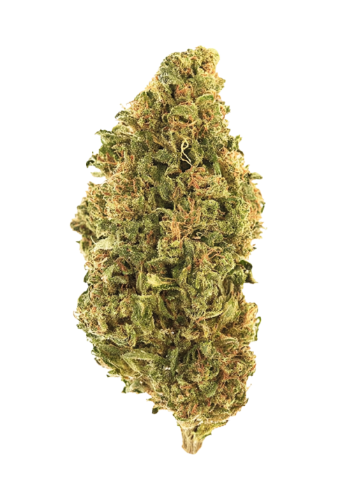 Neville's Haze
